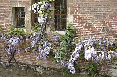 Picture Gallery of Leuven Belgium