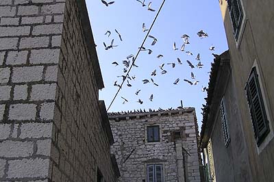 Picture Gallery of Sibenik Dalmatia Croatia