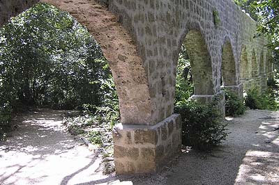 Picture Gallery of Trsteno Arboretum Dalmatia Croatia