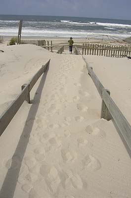 Picture Gallery of Playa Mira Beach Portugal