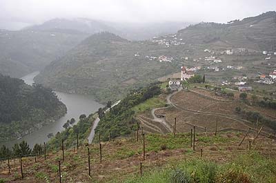 Picture Gallery of Rio Douro Port Wine Country Portugal