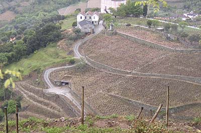 Picture Gallery of Rio Douro Port Wine Country Portugal