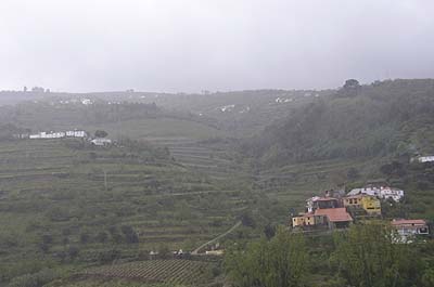 Picture Gallery of Rio Douro Port Wine Country Portugal