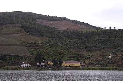 Picture Gallery of Rio Douro Port Wine Country Portugal