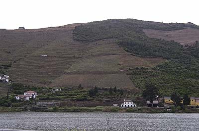 Picture Gallery of Rio Douro Port Wine Country Portugal