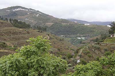 Picture Gallery of Rio Douro Port Wine Country Portugal