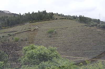 Picture Gallery of Rio Douro Port Wine Country Portugal