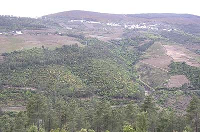 Picture Gallery of Rio Douro Port Wine Country Portugal