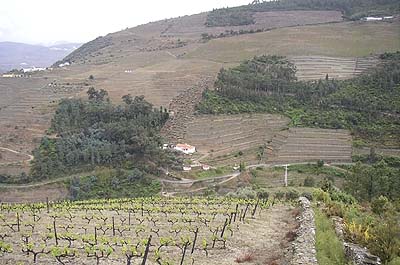 Picture Gallery of Rio Douro Port Wine Country Portugal