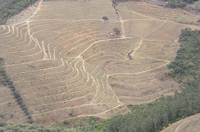 Picture Gallery of Rio Douro Port Wine Country Portugal