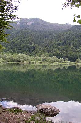 Picture Gallery of Biogradsko Lake Montenegro