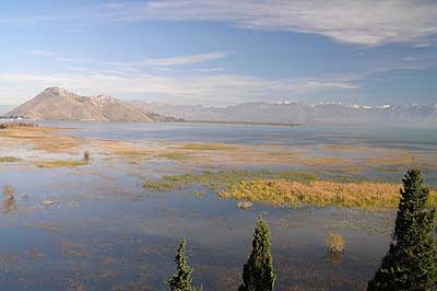 Picture Gallery of Skadar Lake Montenegro