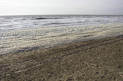 Picture Gallery of Zandvoort Beach near Amsterdam Netherlands -  Holland